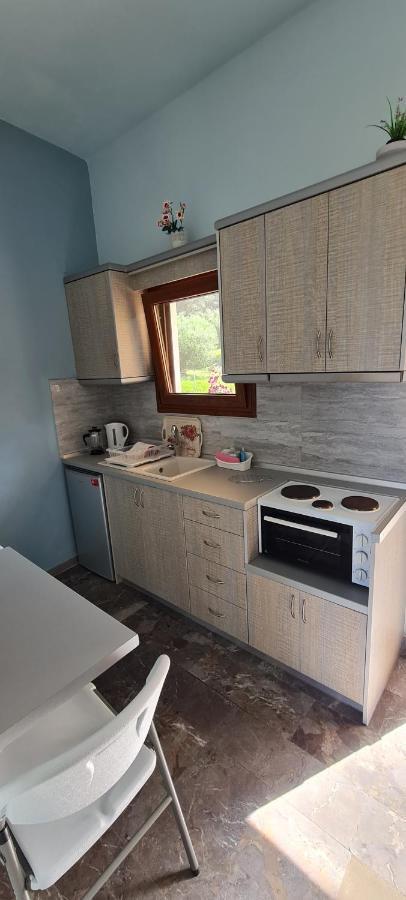Loukia'S Studios And Apartments Paramonas  Zewnętrze zdjęcie
